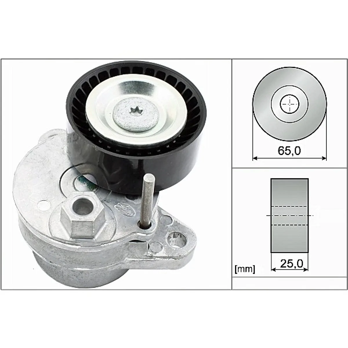INA Belt Tensioner 534054010
