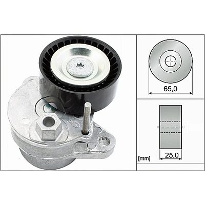 INA Belt Tensioner 534054010