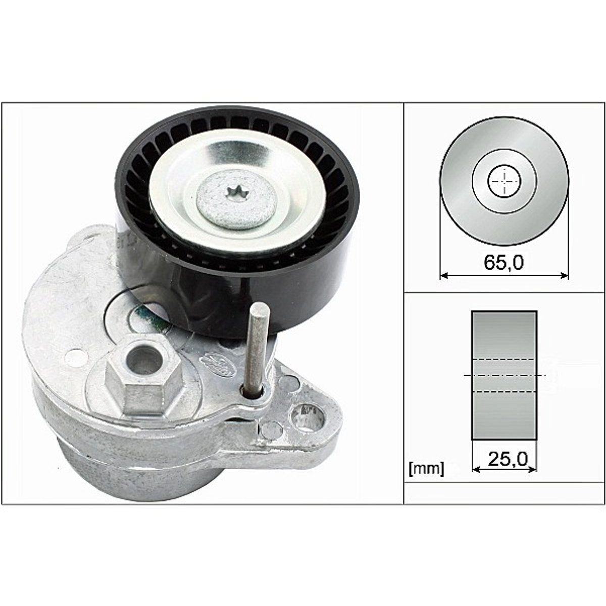 INA Belt Tensioner 534054010