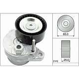 INA Belt Tensioner 534054010