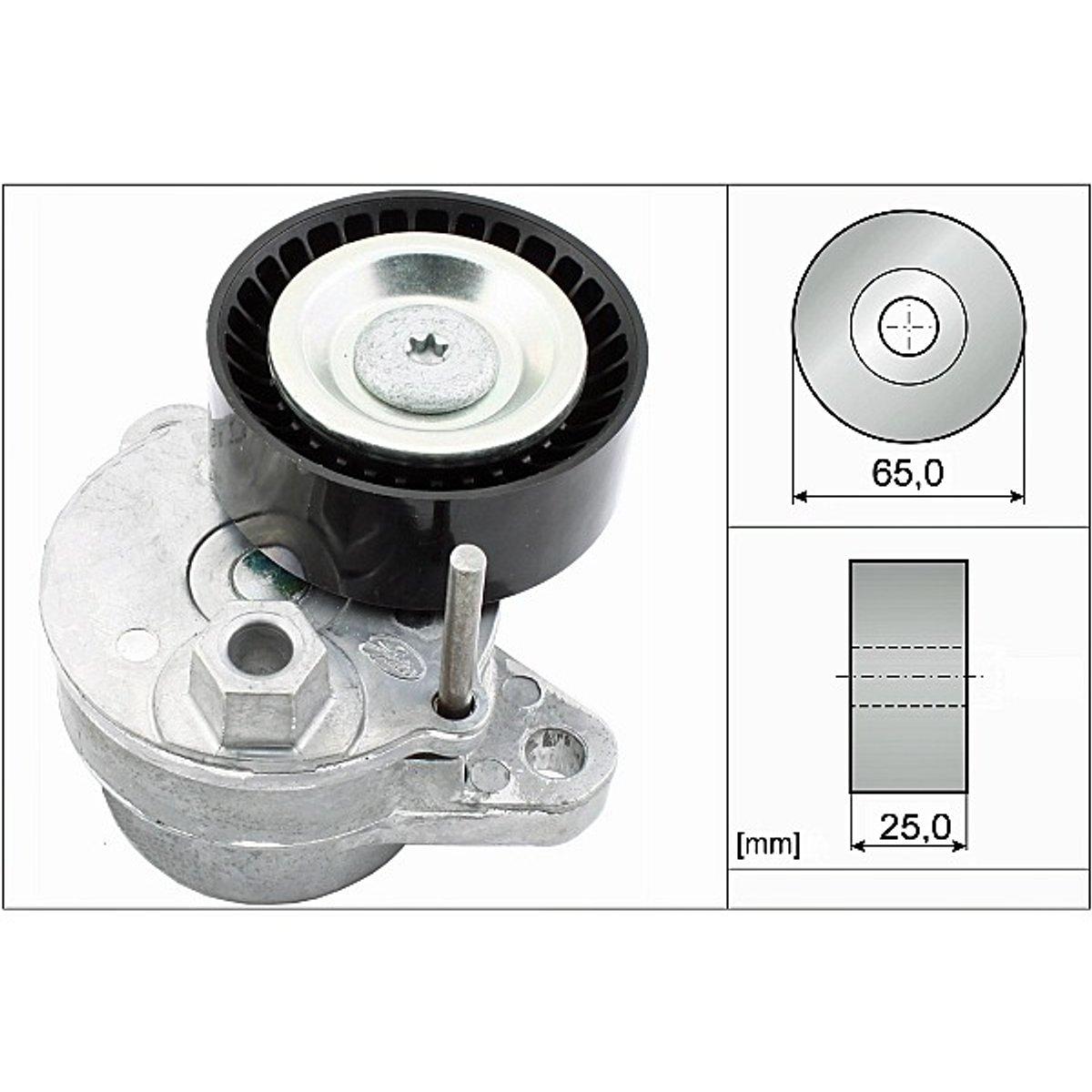 INA Belt Tensioner 534054010
