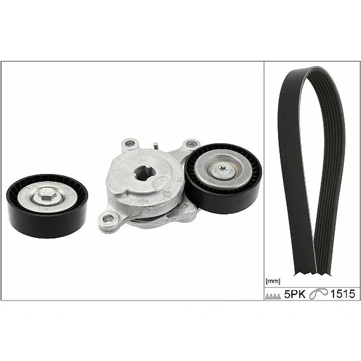 INA V-Ribbed Belt Set 529054310