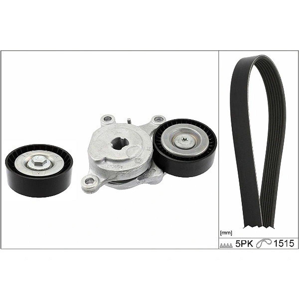 INA V-Ribbed Belt Set 529054310