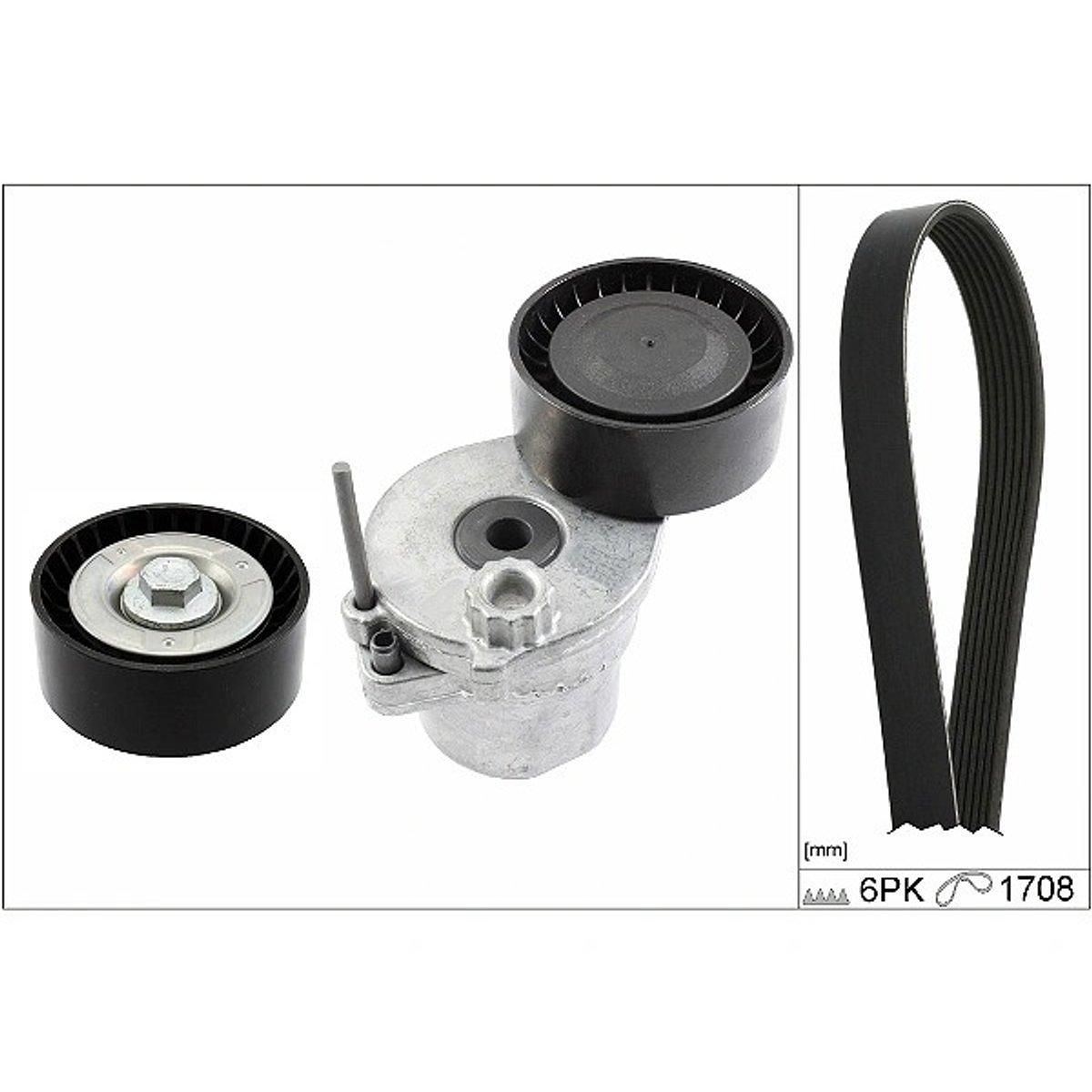INA V-Ribbed Belt Set 529036210