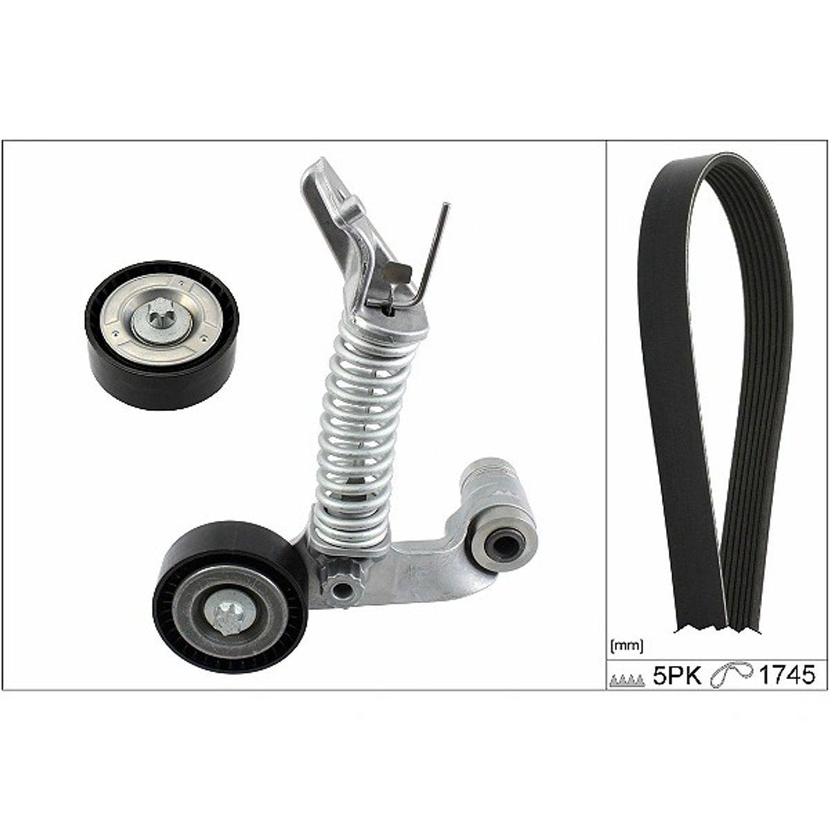 INA V-Ribbed Belt Set 529031910