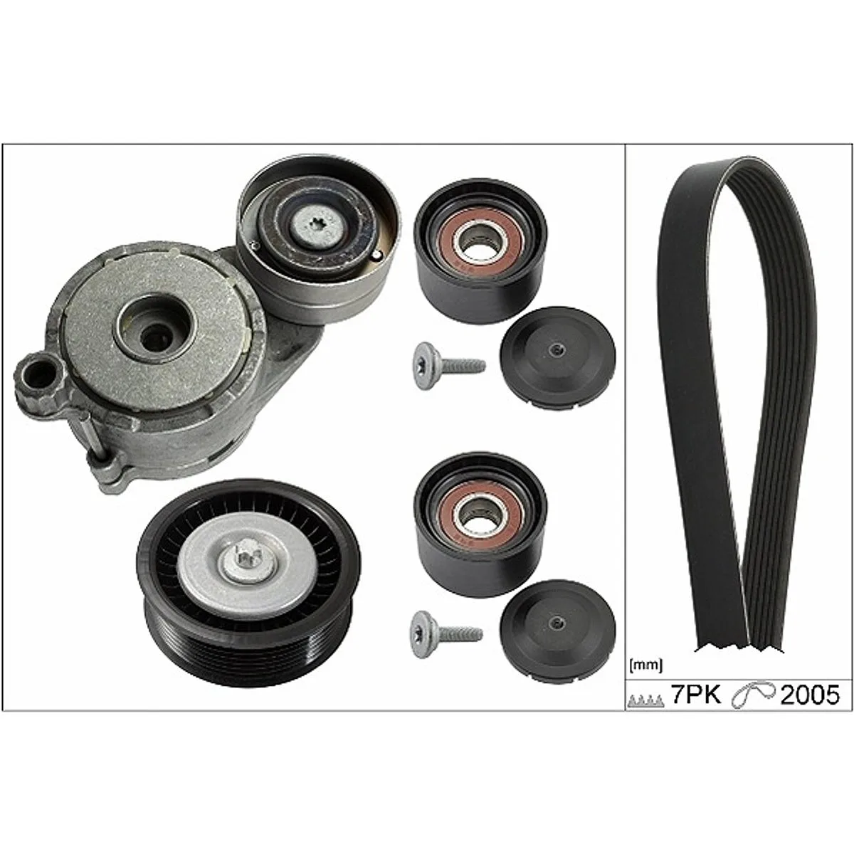 INA V-Ribbed Belt Set 529017110