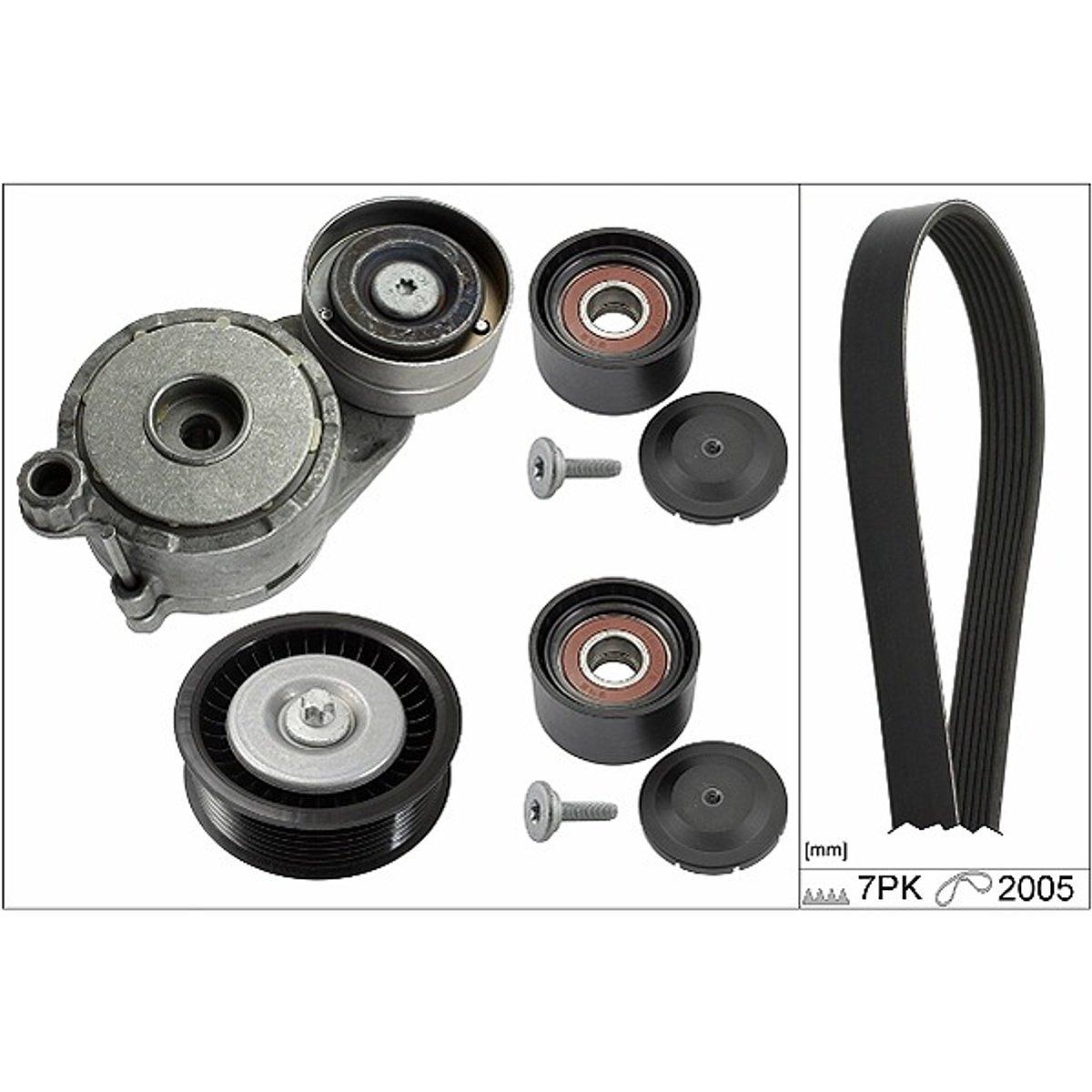 INA V-Ribbed Belt Set 529017110