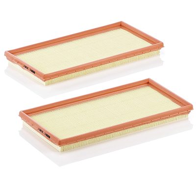 MANN-Filter Air Filter C 3361-2