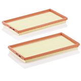 MANN-Filter Air Filter C 3361-2