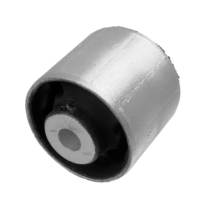 Lemförder Diff Mount 35923 01